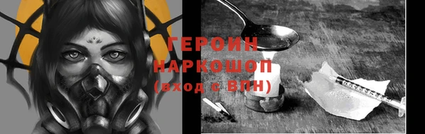 молекула духа Новозыбков