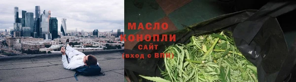 молекула духа Новозыбков