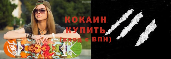 молекула духа Новозыбков