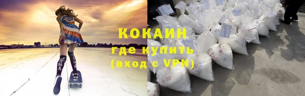 молекула духа Новозыбков