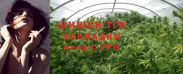молекула духа Новозыбков