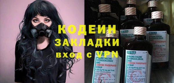 молекула духа Новозыбков