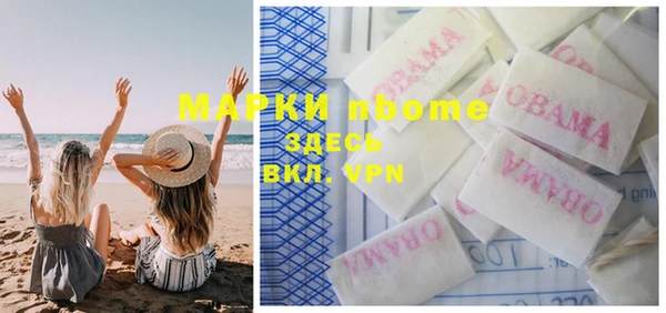 молекула духа Новозыбков