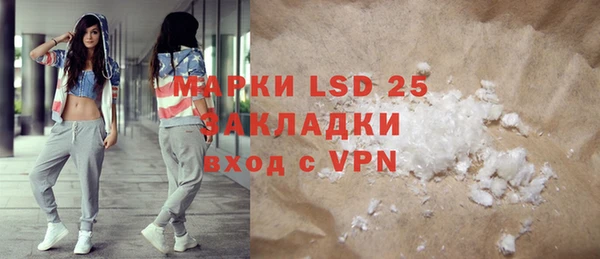 молекула духа Новозыбков