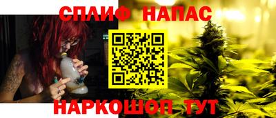 индика Аргун
