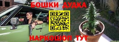 индика Аргун