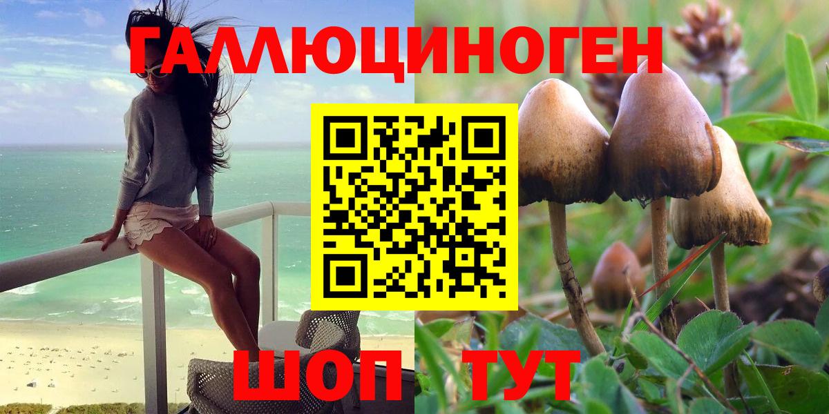 Псилоцибиновые грибы мицелий Асино