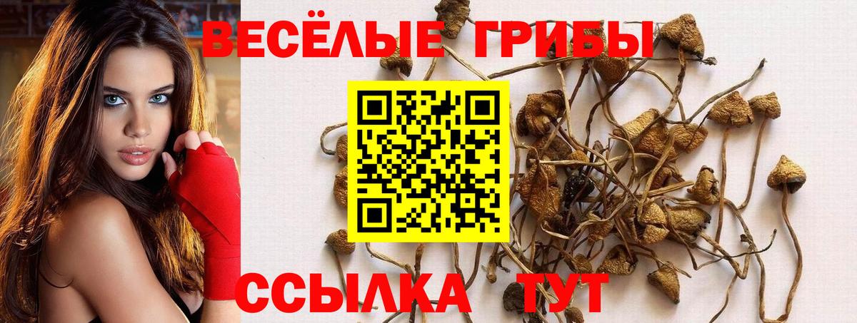 Псилоцибиновые грибы GOLDEN TEACHER  Асино 