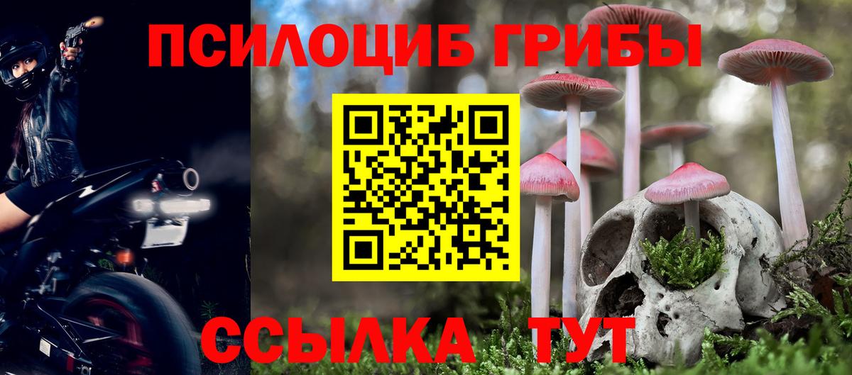 Асино  Галлюциногенные грибы мицелий  Вход с VPN 