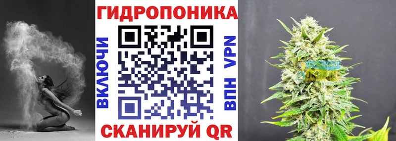 цены   Асино  Канабис индика 